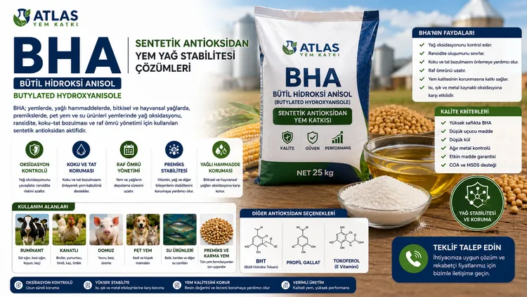 BHA sentetik antioksidan yem katkısı
