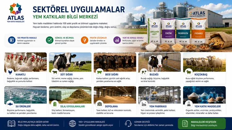 Süt Yağı Düşüşünde Rasyon ve Katkı Kontrol Listesi